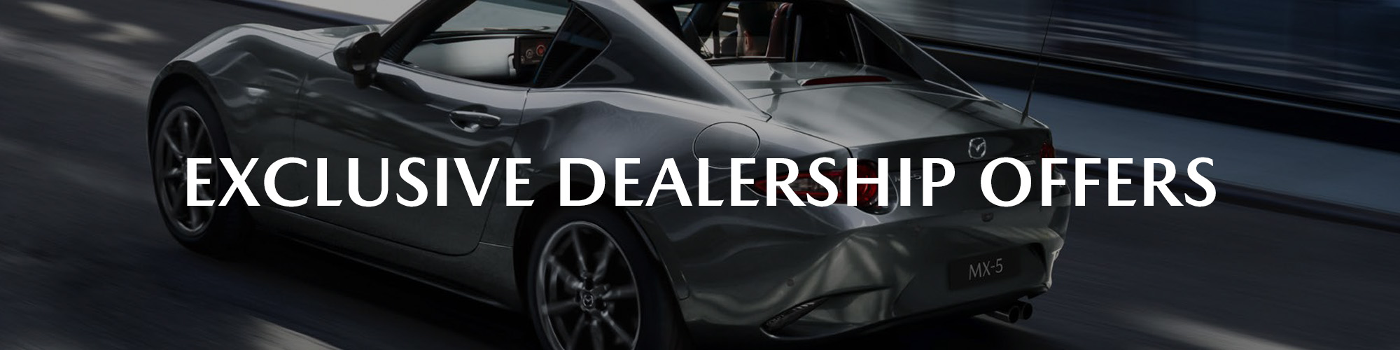 Exclusive Dealers Offers